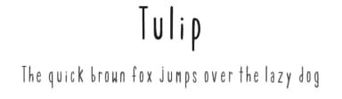 Tulip by Pokey Alma — Script Handwritten Font — thumbnail 1