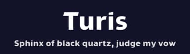 Turis by Punchform — Sans Serif Font — thumbnail 2