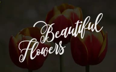 Turkeye Font by Sinfa.co — Script Handwritten Font — thumbnail 3