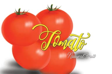 Turkeye Font by Sinfa.co — Script Handwritten Font — thumbnail 7