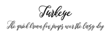 Turkeye by Muhammad Akbar — Script Handwritten Font — thumbnail 1