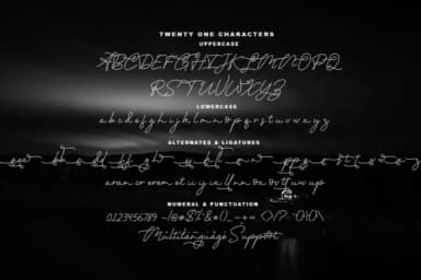 Twenty One Script Font by akifatype — Script Handwritten Font — thumbnail 4