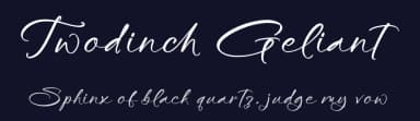 Twodinch Geliant by Letterena Studios — Script Handwritten Font — thumbnail 2
