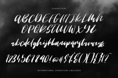 Tyndust Font by Creativeqube Design — Script Handwritten Font — thumbnail 2