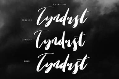 Tyndust Font by Creativeqube Design — Script Handwritten Font — thumbnail 3