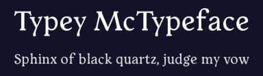Typey McTypeface by Paul Miller — Serif Font — thumbnail 2
