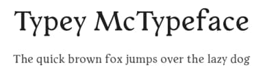 Typey McTypeface by Paul Miller — Serif Font — thumbnail 1