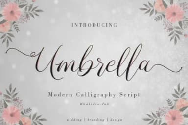 Umbrella Script Font by Khalidin.Ink — Script Handwritten Font — thumbnail 1