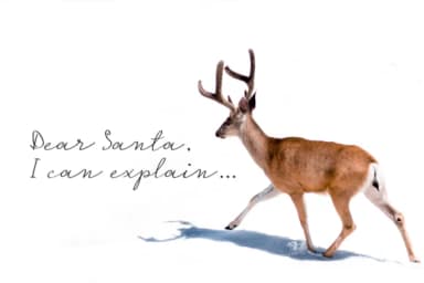 Under the Mistletoe Font by duka — Script Handwritten Font — thumbnail 4