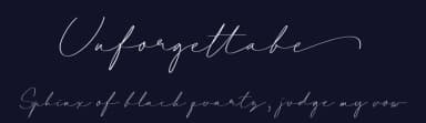 Unforgettable by PS. Ari Setiawan — Script Handwritten Font — thumbnail 2