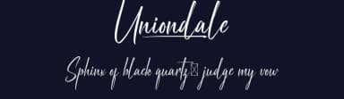 Uniondale by VinType — Script Handwritten Font — thumbnail 2