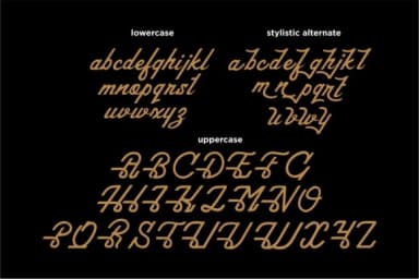 United Stay Font by typelinestudio — Script Handwritten Font — thumbnail 5