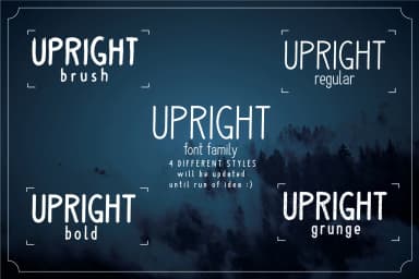 Upright Font by LTNG — Script Handwritten Font — thumbnail 2