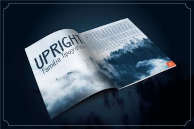 Upright Font by LTNG — Script Handwritten Font — thumbnail 4