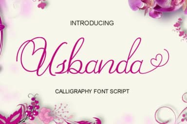 Usbanda Script Font by Shape Studio — Script Handwritten Font — thumbnail 1