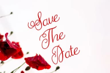 Usbanda Script Font by Shape Studio — Script Handwritten Font — thumbnail 2