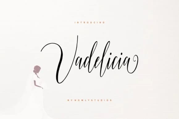 Vadelicia Script Font by nowlystudios — Script Handwritten Font — preview 1