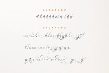 Vadelicia Script Font by nowlystudios — Script Handwritten Font — thumbnail 7