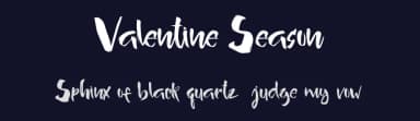 Valentine Season by Thirtypath — Script Handwritten Font — thumbnail 2