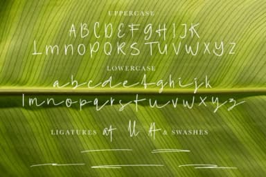 Valeri Font by Scratch Design — Script Handwritten Font — thumbnail 4