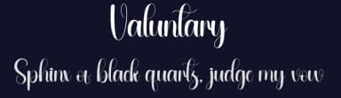 Valuntary by Andi Moz — Script Handwritten Font — thumbnail 2