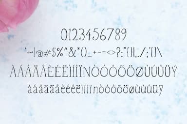 Vanett Font by creativetacos — Script Handwritten Font — thumbnail 3