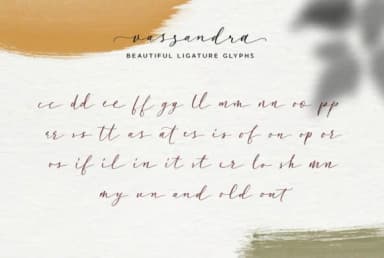 Vassandra Script Font by Runsell Graphic — Script Handwritten Font — thumbnail 5