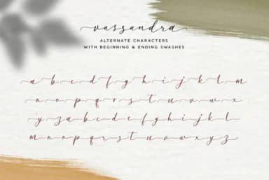Vassandra Script Font by Runsell Graphic — Script Handwritten Font — thumbnail 6
