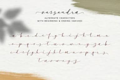 Vassandra Script Font by Runsell Graphic — Script Handwritten Font — thumbnail 7