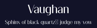 Vaughan by FactoryType — Sans Serif Font — thumbnail 2