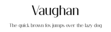 Vaughan by FactoryType — Sans Serif Font — thumbnail 1