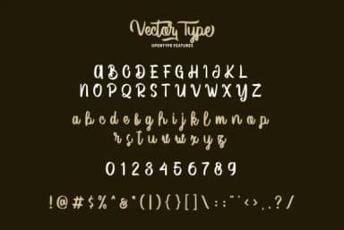 Vector Type Font by Garisman Studio — Script Handwritten Font — thumbnail 8