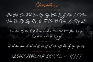 Vedastya Script Font by letterzhe — Script Handwritten Font — thumbnail 5