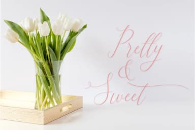 Vegas Style Font by Vegas Type — Script Handwritten Font — thumbnail 9