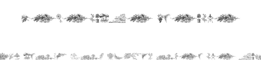 Vegetable Breathe by Intellecta Design — Dingbats Font