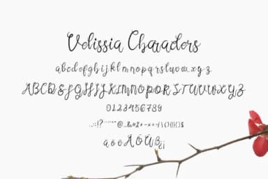 Velissia Font by hidayart94 — Script Handwritten Font — thumbnail 2