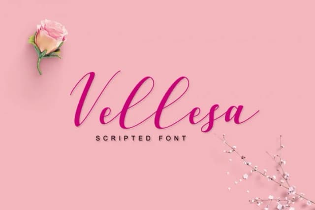Vellesa Script Font by PointLab — Script Handwritten Font
