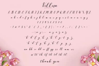 Vellesa Script Font by PointLab — Script Handwritten Font — thumbnail 5