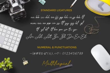 Velocity Font by IklazStudio — Script Handwritten Font — thumbnail 9