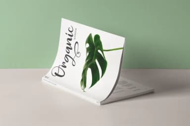 Velvet Line Font by Pasha Larin — Script Handwritten Font — thumbnail 3