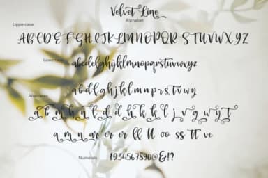 Velvet Line Font by Pasha Larin — Script Handwritten Font — thumbnail 7