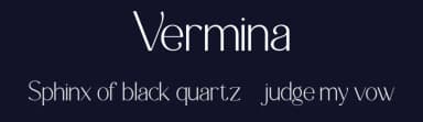 Vermina by Achmad Yani — Sans Serif Font — thumbnail 2