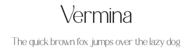 Vermina by Achmad Yani — Sans Serif Font — thumbnail 1
