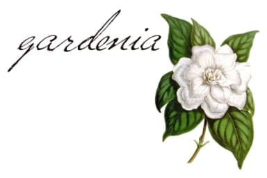 Versitia Font by Intellecta Design — Script Handwritten Font — thumbnail 1