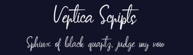 Vertica Scripts by Dilbadil — Script Handwritten Font — thumbnail 2
