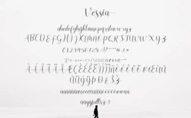 Vessia Script Font by alphArt — Script Handwritten Font — thumbnail 9