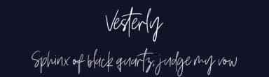 Vesterly by Creatype Studio — Script Handwritten Font — thumbnail 2