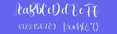 Vidiya by Inermedia Studio — Script Handwritten Font — thumbnail 3