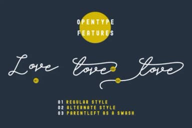 Vierra Font by Nurrehmet Studio — Script Handwritten Font — thumbnail 7