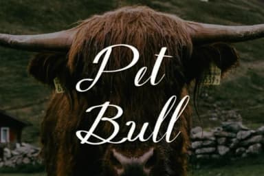 Viktoria Font by petterco.font — Script Handwritten Font — thumbnail 2